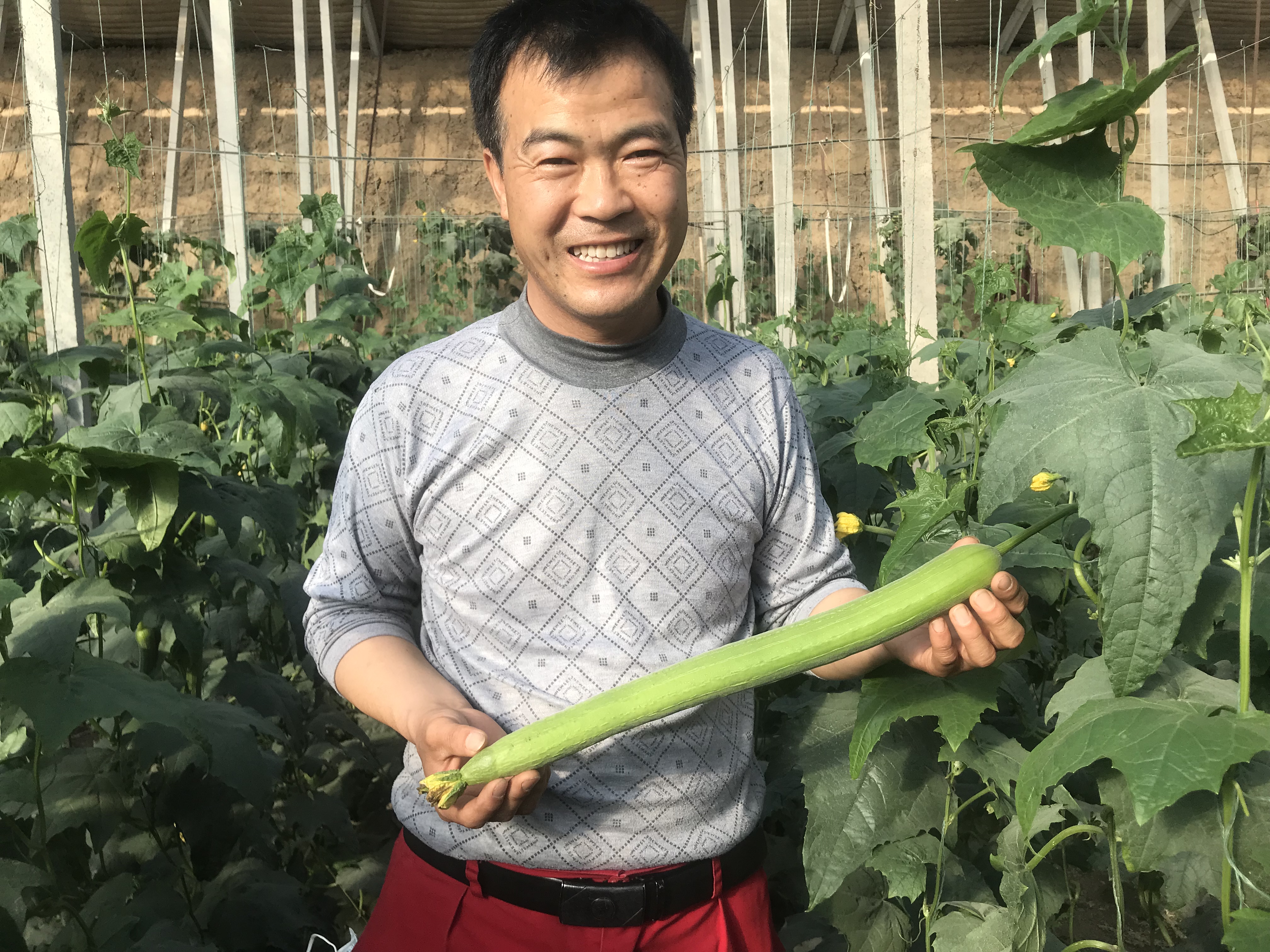 6013b0bfb121b.jpg 6013b0bfb121b.jpg